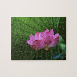 Ohga Lotus, Sankei-en Garden, Yokohama, Japan Jigsaw Puzzle