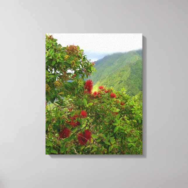 Ohia Lehua Blossoms Canvas Print (Front)