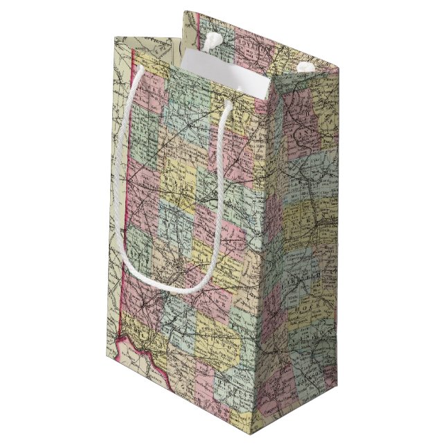Ohio 6 small gift bag (Back Angled)