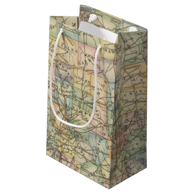 Ohio 8 small gift bag (Back Angled)