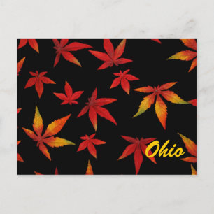 Ohio Autumn Leaves Postcard