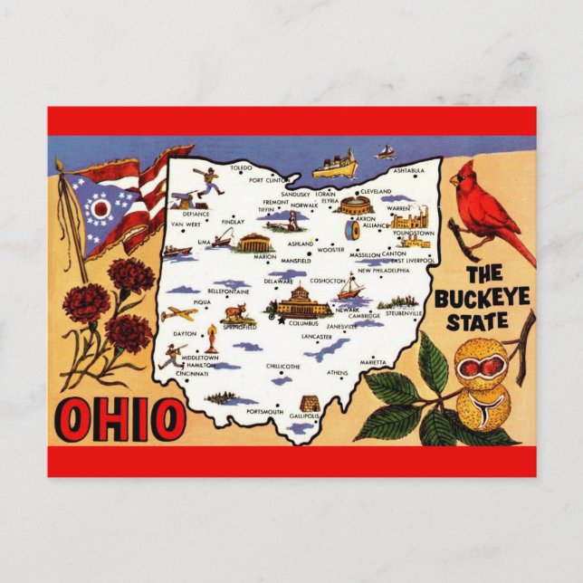  Ohio Buckeye State Postcard (Front)