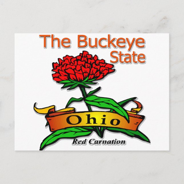 Ohio Buckeye State Red Carnation Postcard (Front)