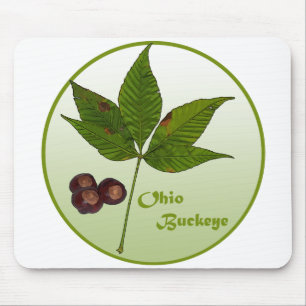 Ohio Buckeye Tree Mouse Mat