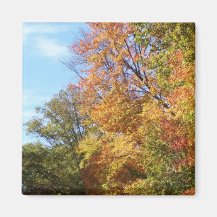 Ohio Fall #3 Magnet