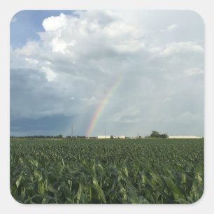 Ohio Rainbow Over Cornfield Square Sticker