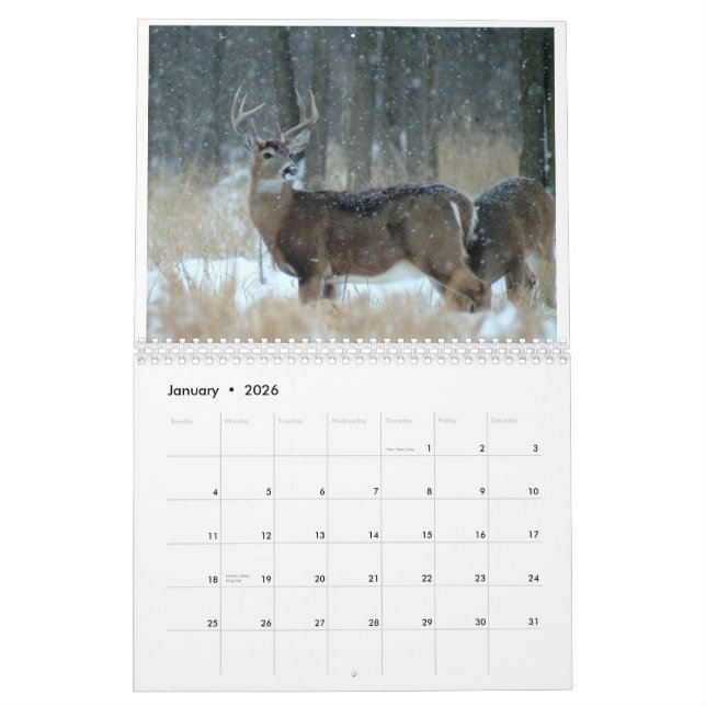 OHIO WILDLIFE CALENDAR-A CALENDAR (Jan 2026)