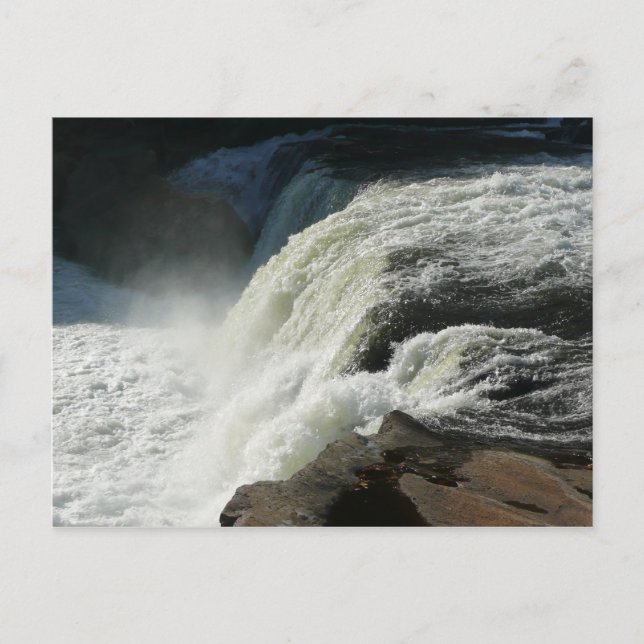 Ohiopyle Falls in Pennsylvania Postcard (Front)