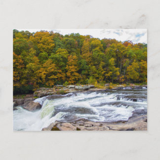 Ohiopyle Falls, Pennsylvania Postcard
