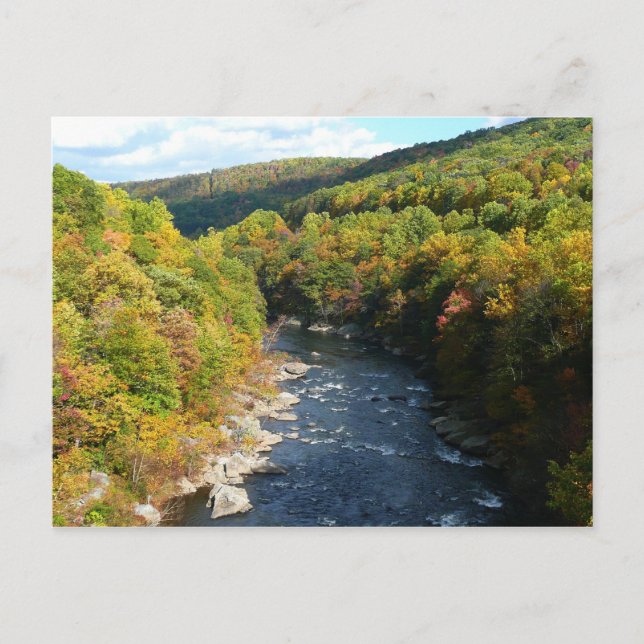 Ohiopyle River in Fall I Pennsylvania Autumn Postcard (Front)