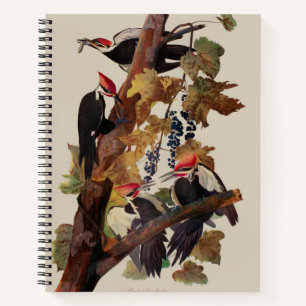 ohn James Audubon Pileated Woodpecker Bird Print Notebook