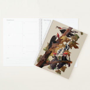 ohn James Audubon Pileated Woodpecker Bird Print Planner