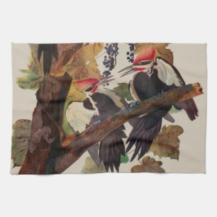 ohn James Audubon Pileated Woodpecker Bird Print Tea Towel