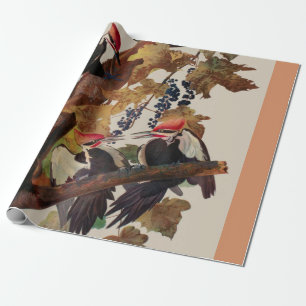 ohn James Audubon Pileated Woodpecker Bird Print Wrapping Paper