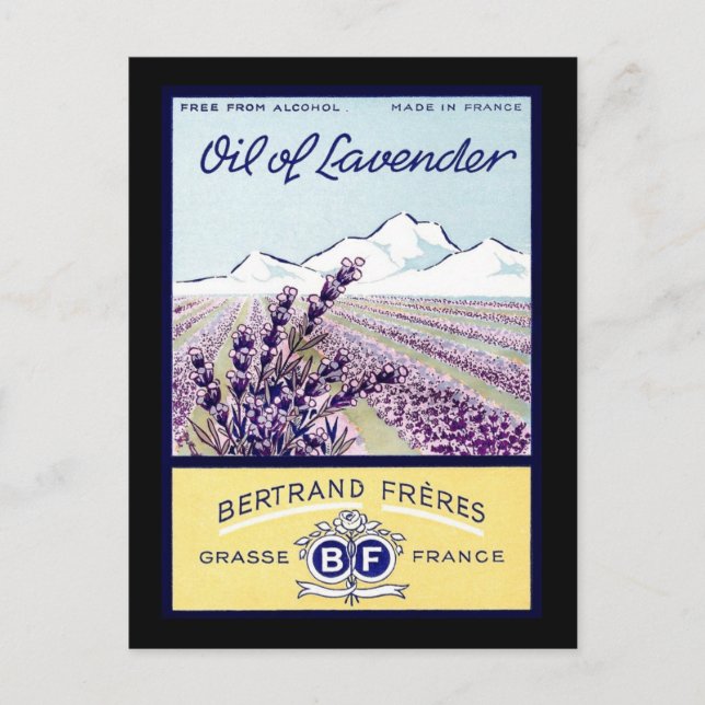 Oil of Lavender - Grasse France Postcard (Front)
