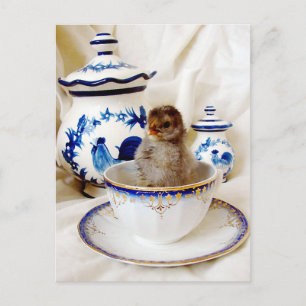 Oil Paint Effect Chick and Tea Cup In Studio Postcard