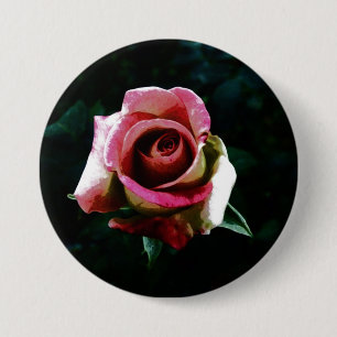 Oil painted red rose 7.5 cm round badge