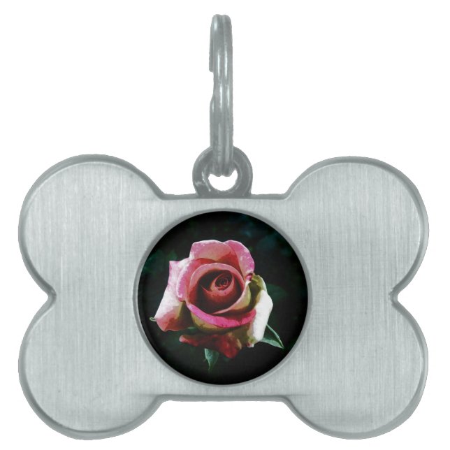 Oil painted red rose pet name tag (Front)