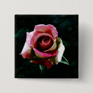 Oil painted rose 15 cm square badge