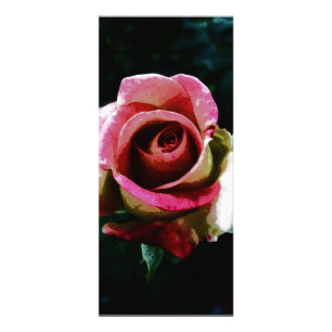 Oil Painted Rose Rack Card