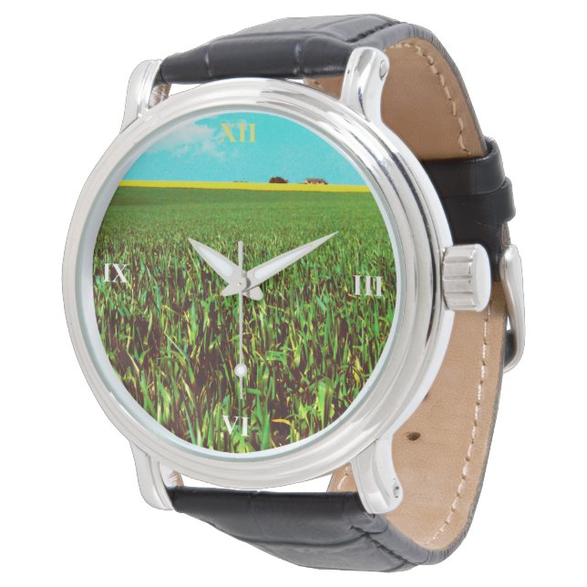 Oil Seed Prairie Watch (Angled)