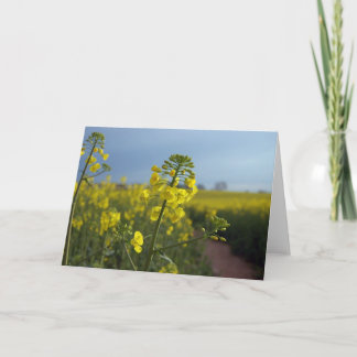Oil seed rape flowers card