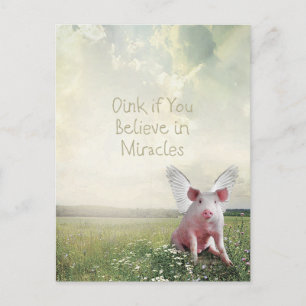 Oink if You Believe in Miracles Flying Pig  Postcard