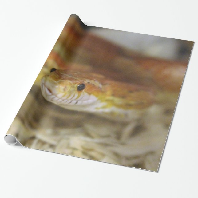 oj the sassy snake wrapping paper (Unrolled)