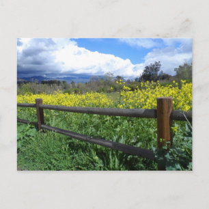 Ojai Meadows Postcard