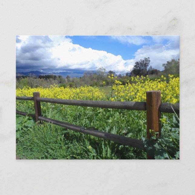 Ojai Meadows Postcard (Front)