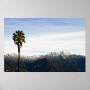 Ojai Palm Poster
