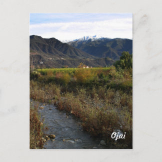 Ojai Small Creek Postcard