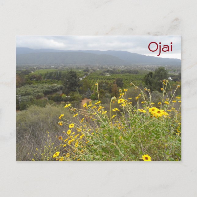 Ojai Valley, California Postcard (Front)