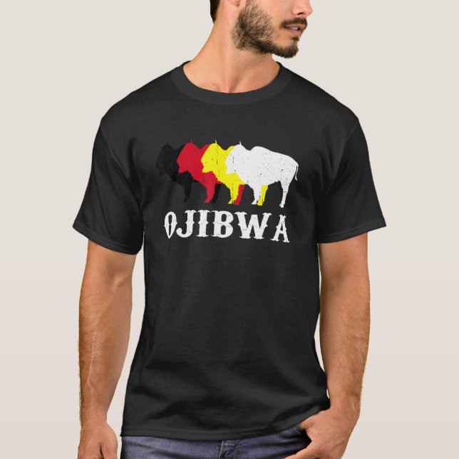 Ojibwa Anishinaabeg People Native American Medicin T-Shirt (Front)