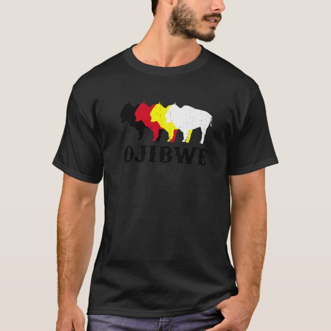 Ojibwe Anishinaabeg Ojibwa Native American Medicin T-Shirt (Front)