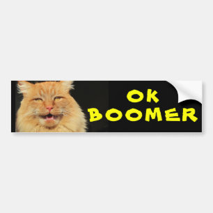 OK BOOMER  Funny Cat Meme Bumper Sticker