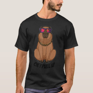 Ok I Pull Up  Capybara Sunglasses Beach Capibara H T-Shirt