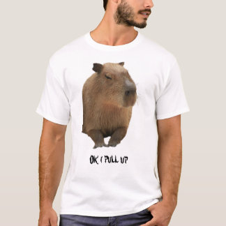 Ok i pull up Capybara T-Shirt