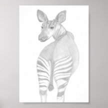 Okapi, African Wildlife