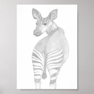 Okapi, African Wildlife Poster