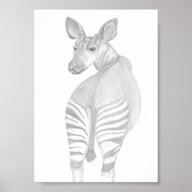 Okapi, African Wildlife Poster (Front)