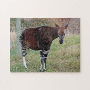 Okapi Jigsaw Puzzle
