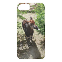 Okapi Phone Case (options available)