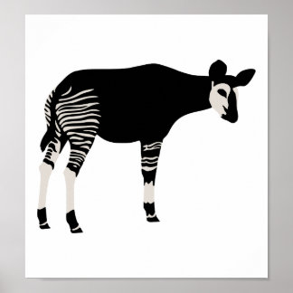 Okapi Poster
