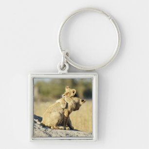 Okavango Delta, Botswana 2 Key Ring