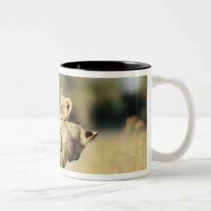 Okavango Delta, Botswana 2 Two-Tone Coffee Mug