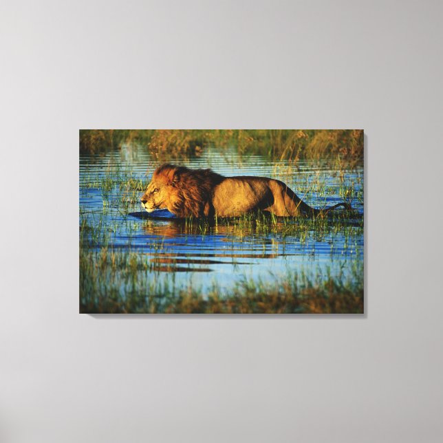 Okavango Delta, Botswana 3 Canvas Print (Front)
