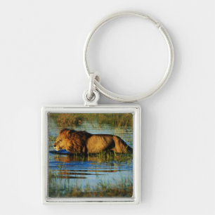 Okavango Delta, Botswana 3 Key Ring