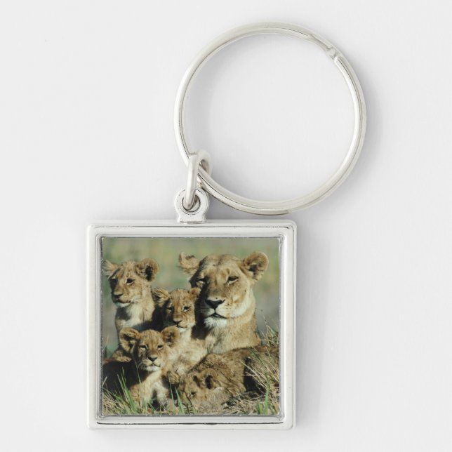 Okavango Delta, Botswana Key Ring (Front)