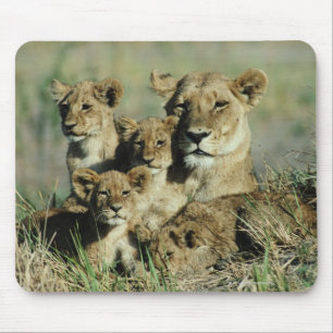 Okavango Delta, Botswana Mouse Mat